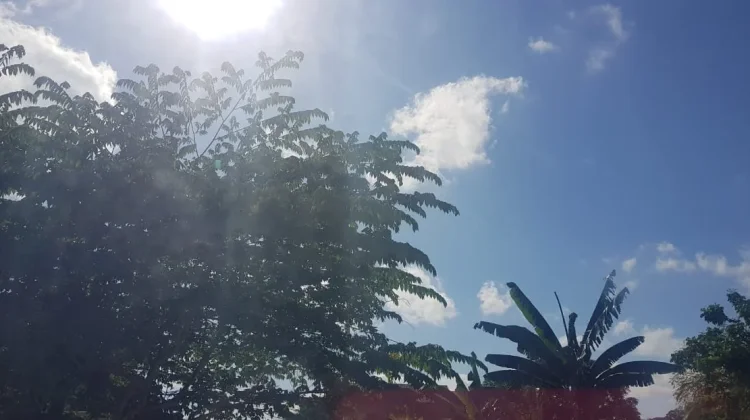 Prakiraan Cuaca Sulawesi Tenggara 9 Juli 2026