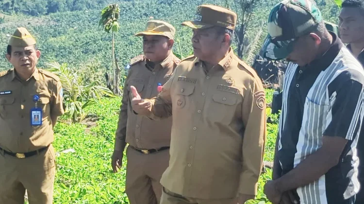 Bupati Buton Selatan Petakan Potensi Pertanian Puncak Wawoangi
