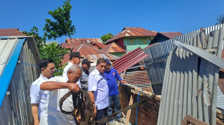 Angin Kencang dan Pohon Tumbang Terjang Bukit Wolio Indah, BPBD Lakukan Pendataan