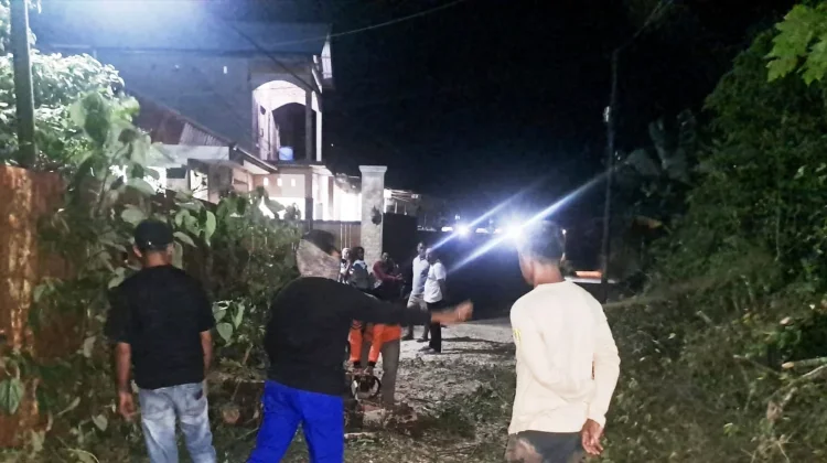 BPBD Baubau Tangani Pohon Tumbang meski Terkendala Personel dan Peralatan