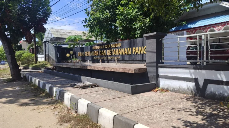 Cegah PMK, 500 Ekor Sapi di Baubau Tuntas Divaksin