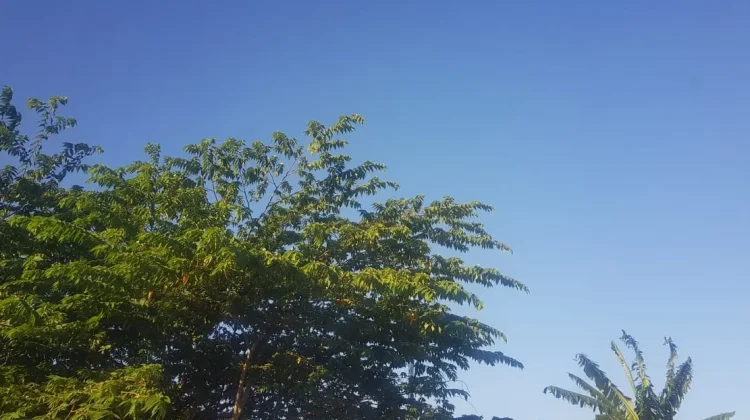Prakiraan Cuaca Sulawesi Tenggara 21 Juli 2026
