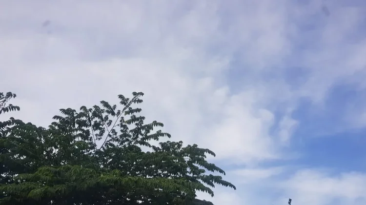 Prakiraan Cuaca Sulawesi Tenggara 22 Juli 2026