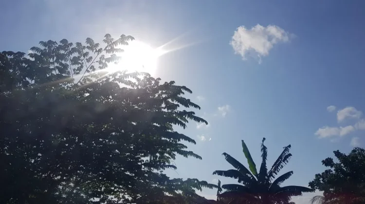 Prakiraan Cuaca Sulawesi Tenggara 24 Juli 2026