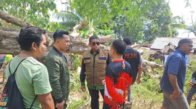 Pohon Tumbang Timpa Rumah di Baubau, Tiga Warga Jadi Korban