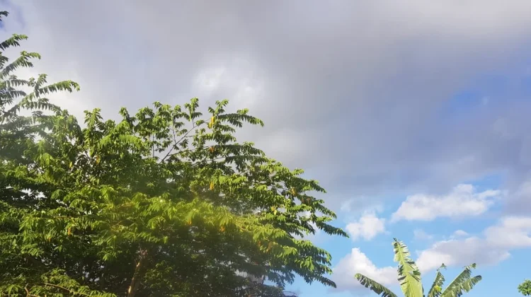 Prakiraan Cuaca Sulawesi Tenggara 10 Agustus 2026