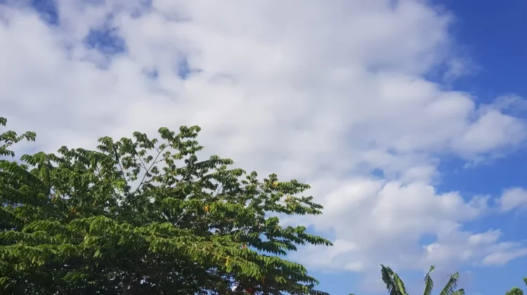 Prakiraan Cuaca Sulawesi Tenggara 11 Agustus 2026