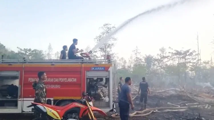 Damkar Baubau Tangani Tiga Peristiwa Karhutla dan Penyelamatan dalam Sehari
