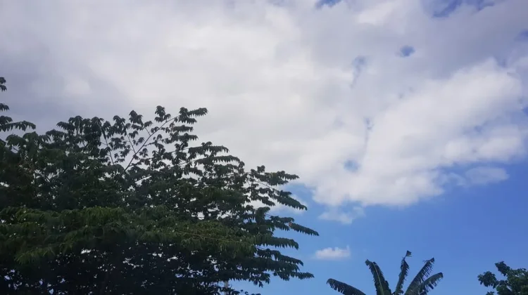 Prakiraan Cuaca Sulawesi Tenggara 21 Agustus 2026