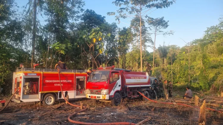 Empat Kebakaran Lahan Terjadi di Baubau dalam Sehari, Damkar Imbau Warga Waspada