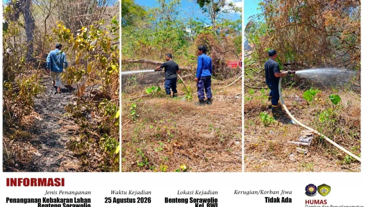 Dua Hari, Damkar Baubau Tangani 5 Kebakaran Lahan