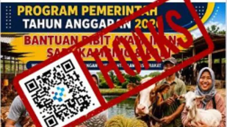 HOAKS Tautan Pendaftaran Bantuan Bibit Ayam 2026