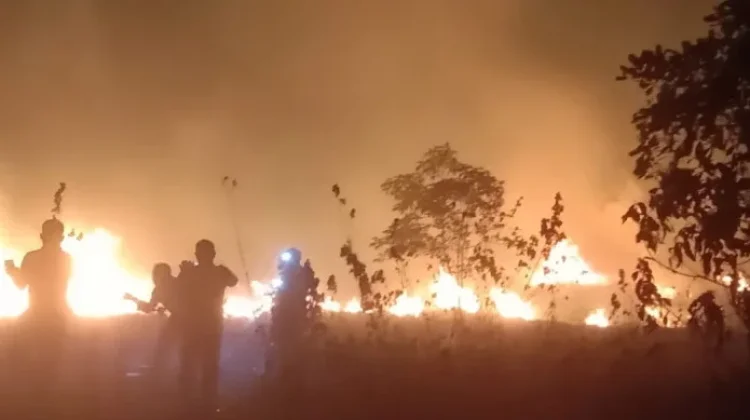 BPBD Bombana Padamkan Titik Api di Watu-Watu