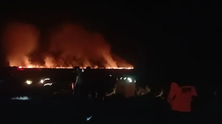 BPBD Bombana Kerahkan Personel Padam Karhutla Rawa Aopa