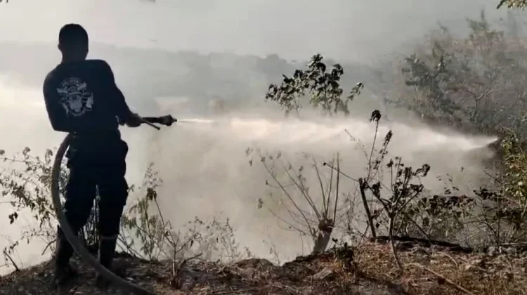 Kolaborasi Damkar Baubau dan Polisi Percepat Penanganan Kebakaran di Dua Lokasi