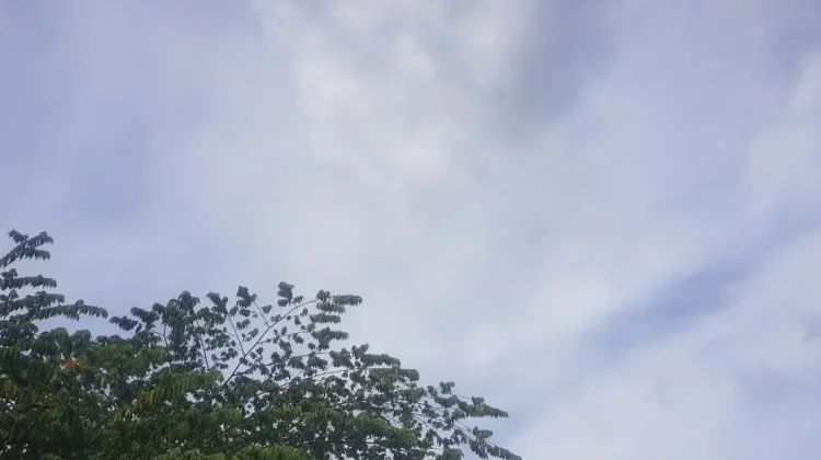 Prakiraan Cuaca Sulawesi Tenggara 11 September 2026