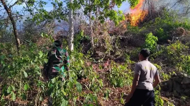 Lahan Terbakar di Desa Kamelanta Buton Berhasil Dipadamkan