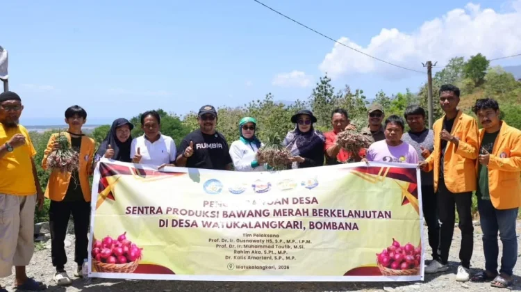 Bupati Bombana Panen Perdana Bawang Merah Percontohan