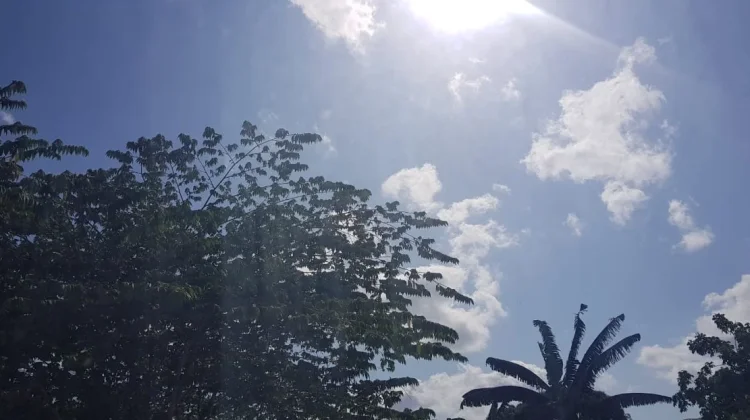 Prakiraan Cuaca Sulawesi Tenggara 19 September 2026