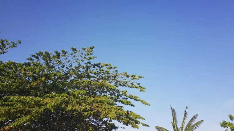 Prakiraan Cuaca Sulawesi Tenggara 20 September 2026