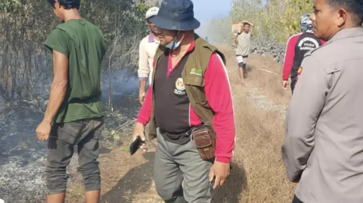 Karhutla di Wabula, 1,5 Hektare Lahan Perkebunan Terbakar