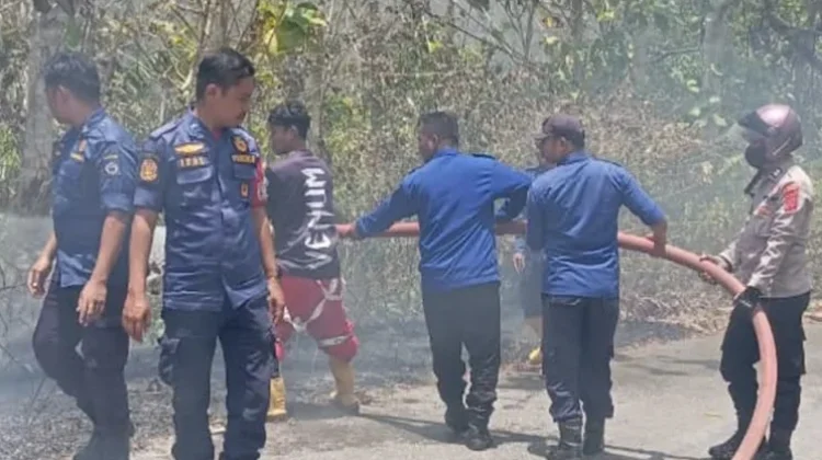 Karhutla Dua Hektare di Sampolawa Berhasil Dipadamkan