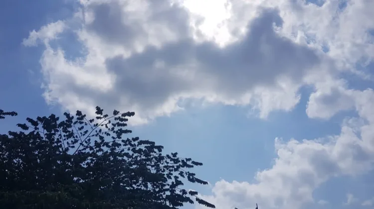 Prakiraan Cuaca Sulawesi Tenggara 21 September 2026