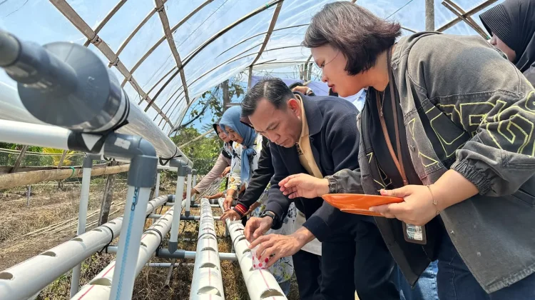 Dukung Ketahanan Pangan Nasional, PNM Cabang Baubau Resmikan Rumah Pangan