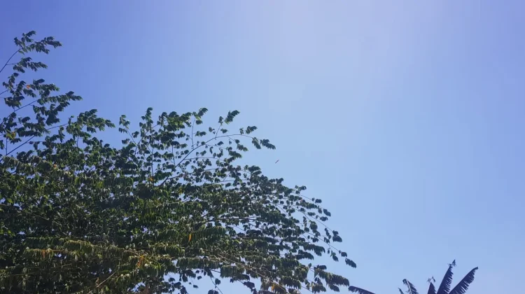 Prakiraan Cuaca Sulawesi Tenggara 6 Oktober 2026