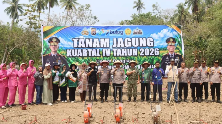 Bombana Percepat Tanam Jagung Kuartal IV 2026