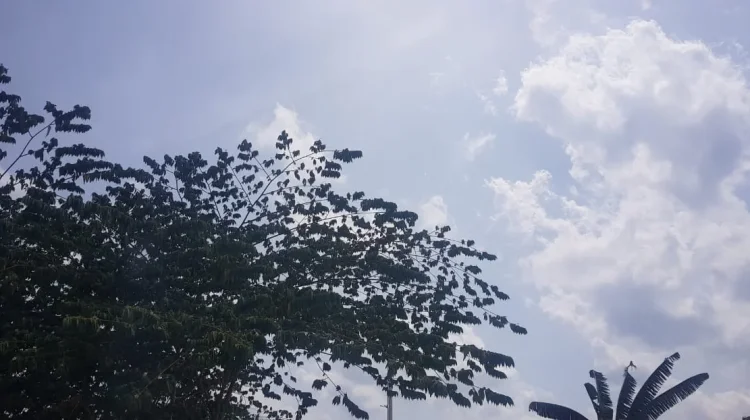 Prakiraan Cuaca Sulawesi Tenggara 7 Oktober 2026
