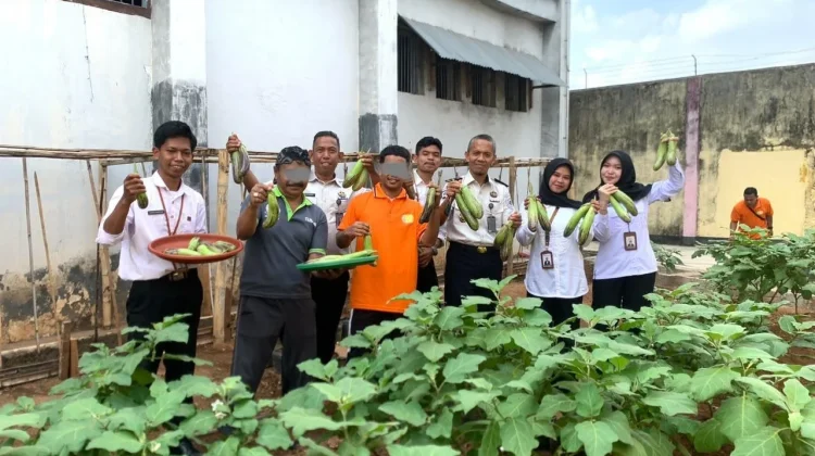 Panen 21 Kg Terong, Lapas Baubau Dorong Premi WBP dan Setoran PNBP