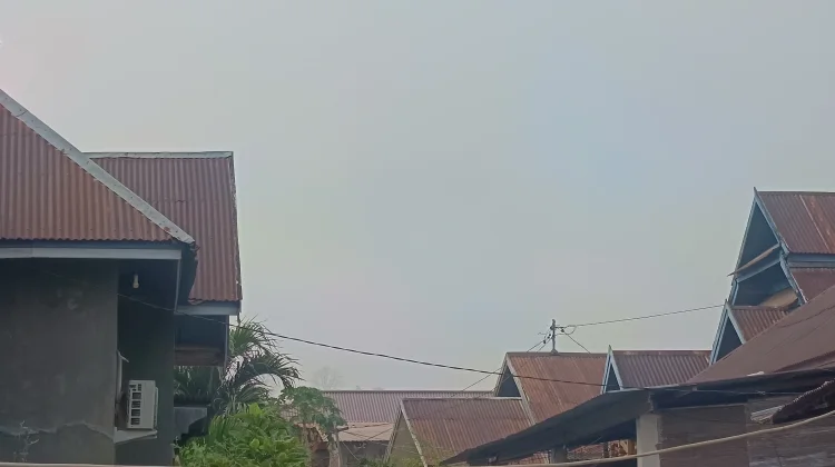 Prakiraan Cuaca Sulawesi Tenggara 14 Oktober 2026 - RRI.co.id