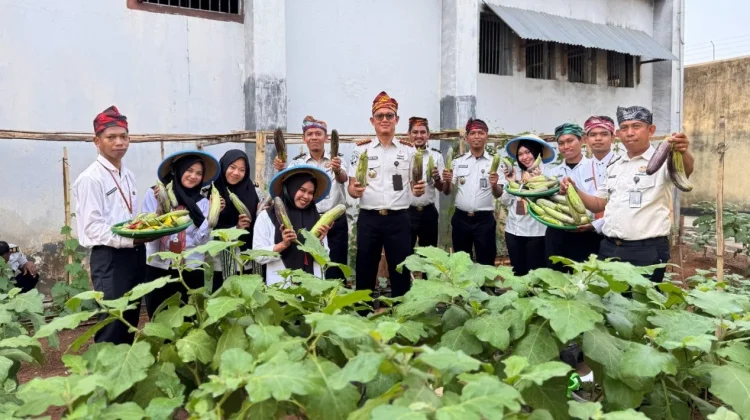 Lapas Baubau Panen 25.4 Kilogram Tanaman Hortikultura - RRI.co.id