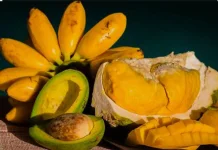 Sejumlah Buah Tinggi Kalori yang Harus Dikonsumsi Bijak