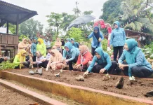 Monev Kedai 2026, PKK Baubau Dorong Ketahanan Pangan Keluarga