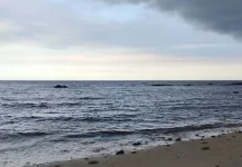 Prakiraan Cuaca Sulawesi Tenggara 9 Maret 2026