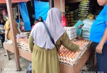 Telur Ayam di Baubau Tembus Rp90 Ribu per Rak