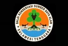 BKSDA Sultra Beri Respon Terkait Penjualan Ular Piton di Pasar Wameo