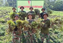 Yonif TP 823/Rajawakaaka Panen Kacang Tanah, Perkuat Ketahanan Pangan