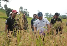 Bupati Buton Dorong Perbaikan Jalan Tani usai Panen Padi Gogo di Siotapina