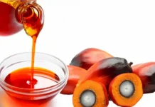 Minyak Merah, Pilihan Sehat Masa Kini
