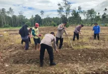 Polisi dan Warga Sorawolio Tanam Jagung Pakan Bersama