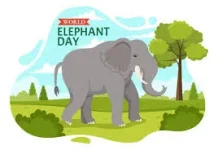 Peringatan Hari Gajah Sedunia: Jaga Habitat dan Populasi