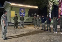 Satpol PP Bombana Tertibkan Ternak Liar di Jalan