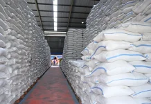 Cadangan Beras Naik 221 Persen, Indonesia Siap Hadapi El Nino