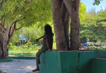 ODGJ di Baubau Memprihatinkan, Dinkes Siapkan Ruang Perawatan Khusus