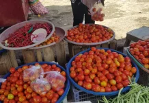 Harga Tomat Melonjak, Daya Beli Warga Baubau Turun