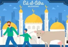 Panduan Lengkap Ibadah Kurban, dari Niat hingga Pembagian Daging