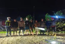 Damkar Bombana Sigap Evakuasi Pohon Tumbang tengah malam